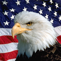 Eagle Flag Image