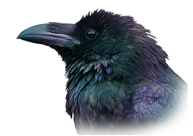 Raven Head